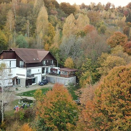 Pensiunea Glasul Padurii Moieciu de Jos Buitenkant foto
