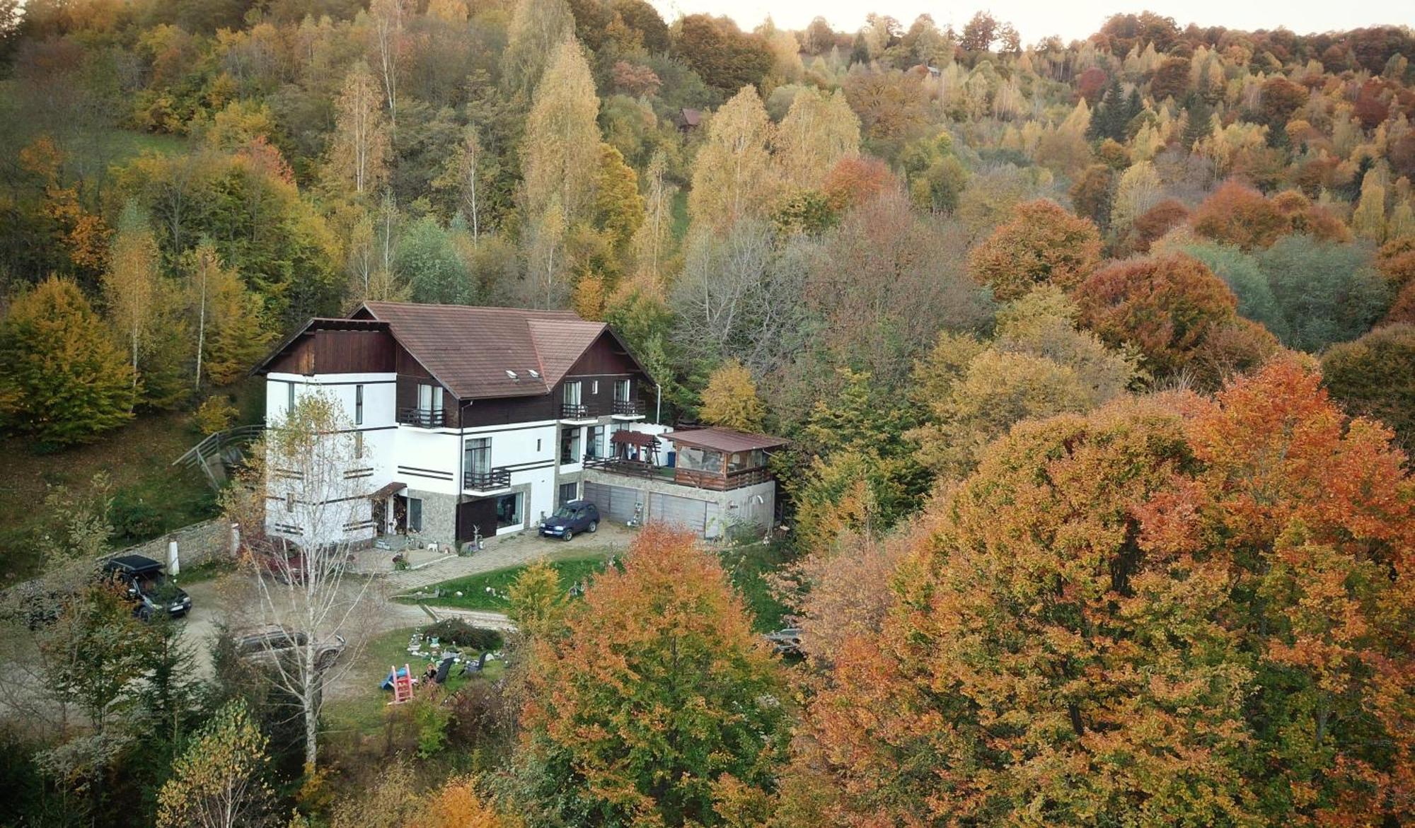 Pensiunea Glasul Padurii Moieciu de Jos Buitenkant foto
